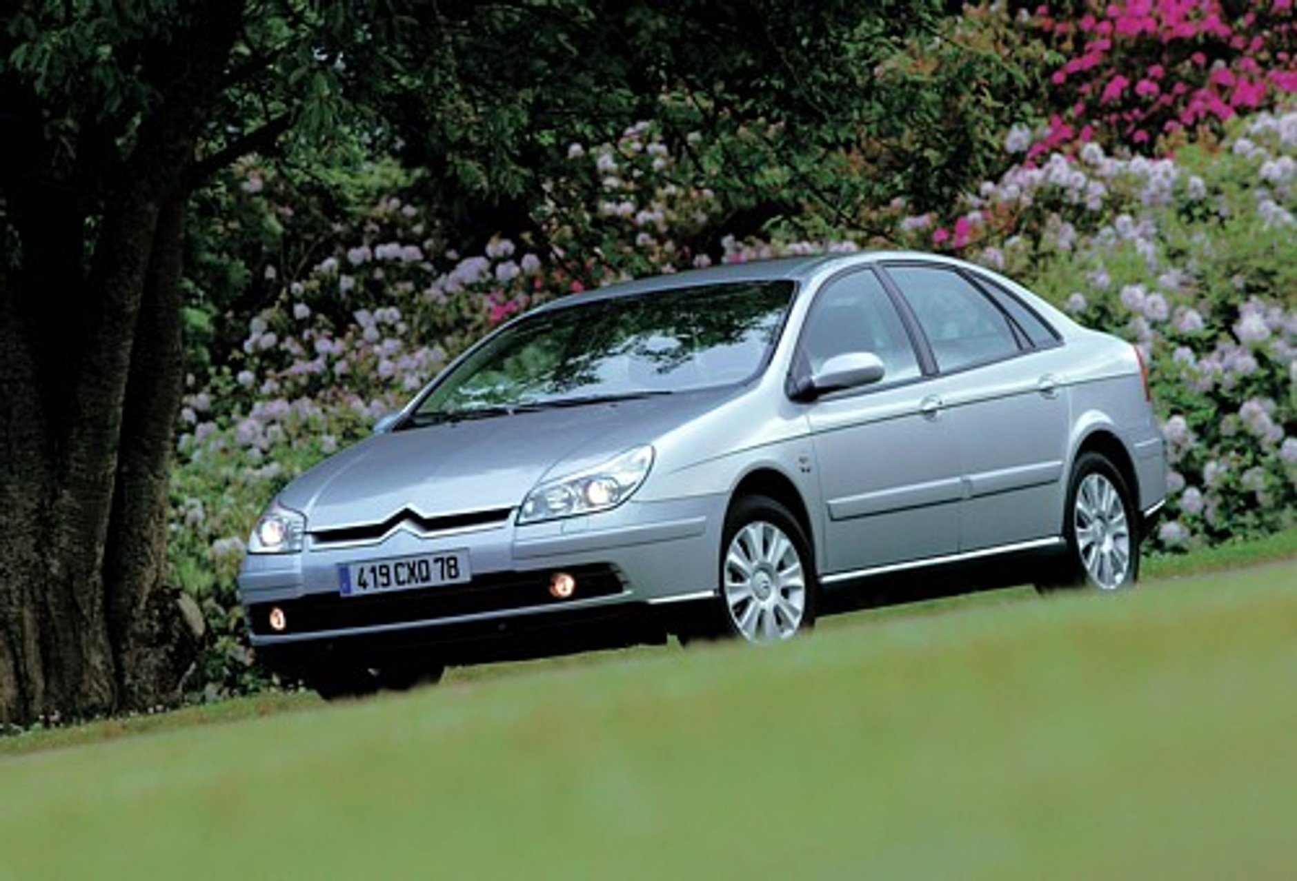 W pogoni za młodszymi