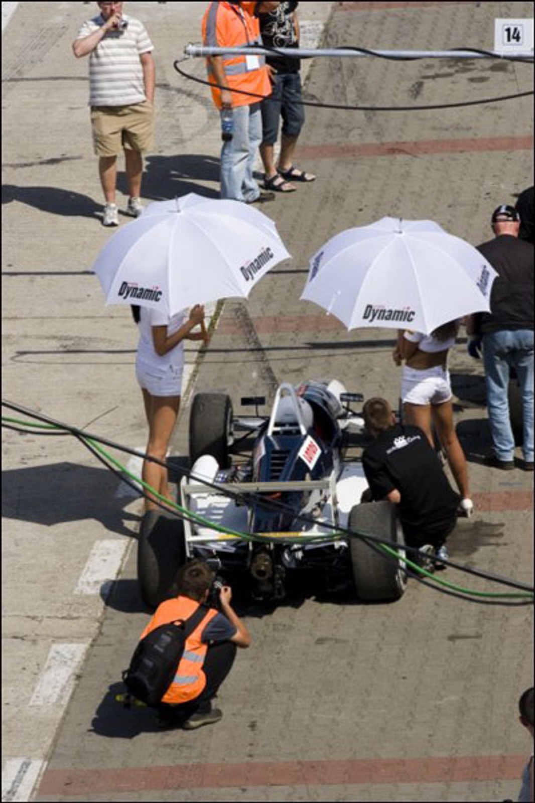 Wyścigi: nowe rekordy na torze w Poznaniu (fotogaleria)