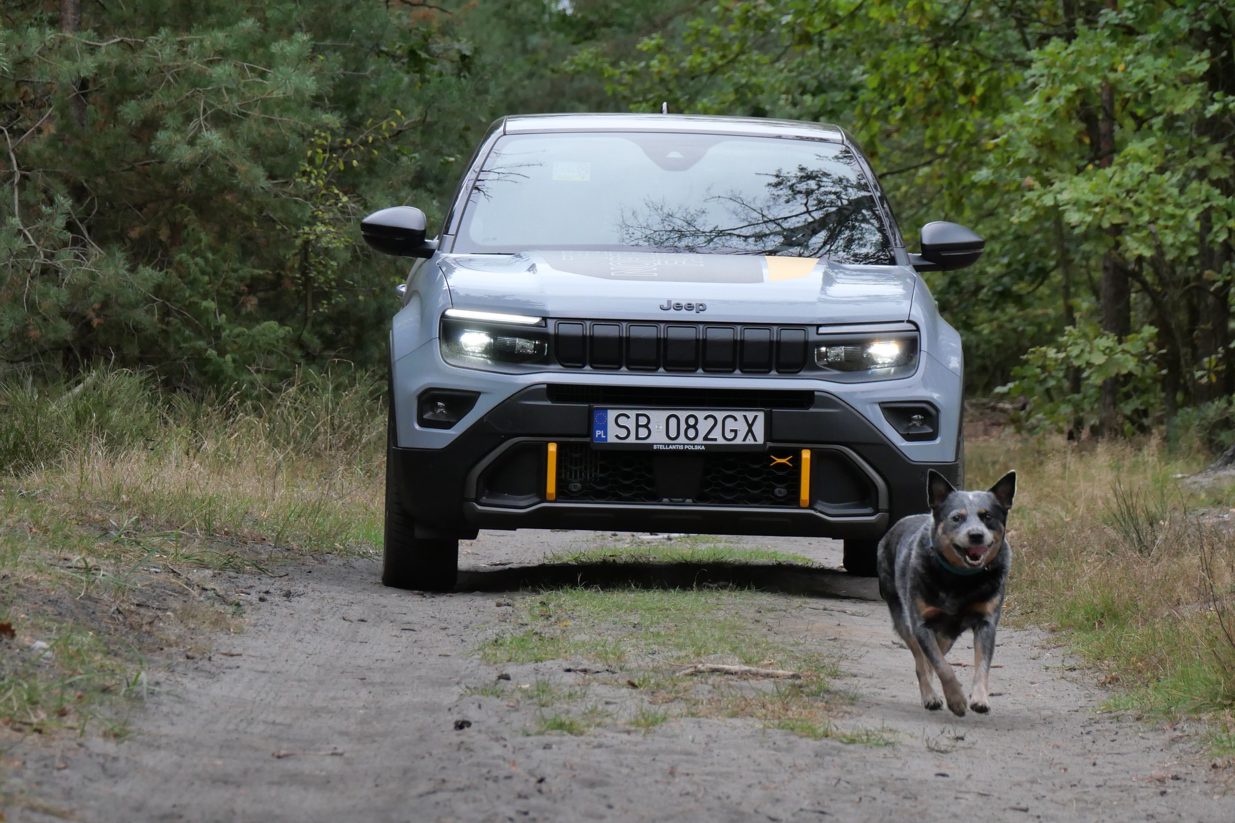 Jeep Mściciel w limitowanej wersji wygląda cudownie i nie boi się przeszkód. Ideał?