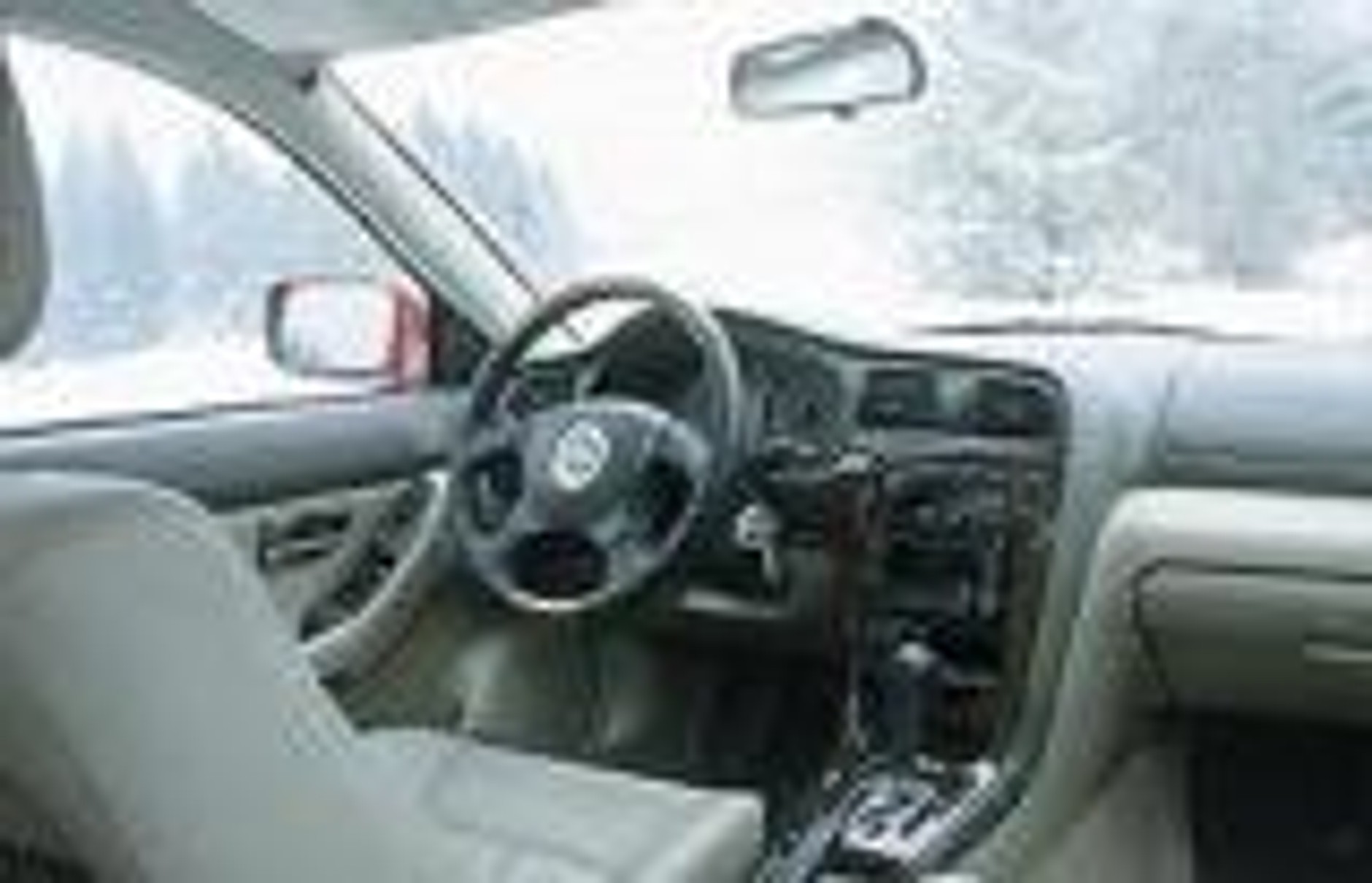 Bokser na prawie każdą okazję