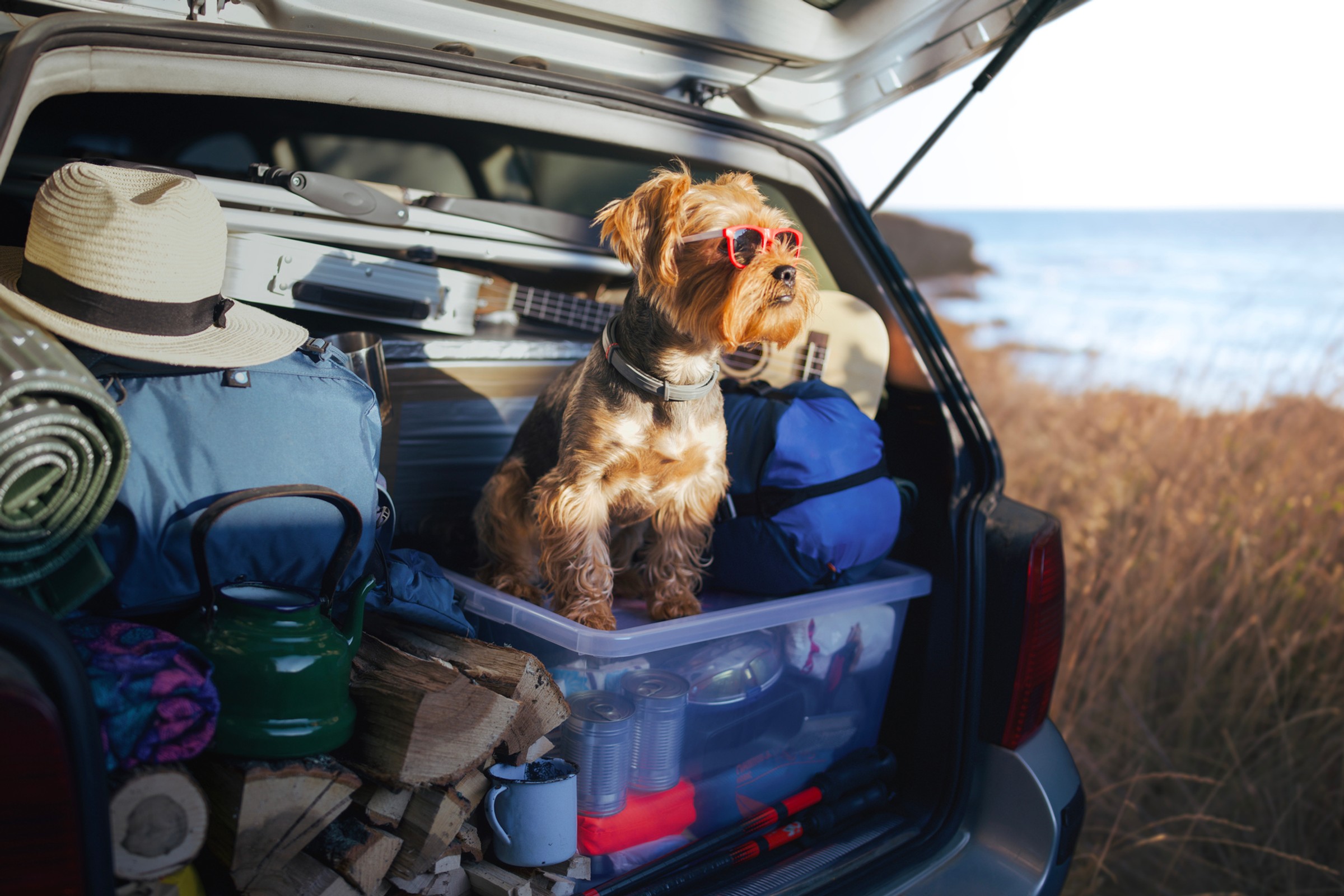 Podróż samochodem bez bałaganu w bagażniku? Z tymi akcesoriami pakowanie to pestka