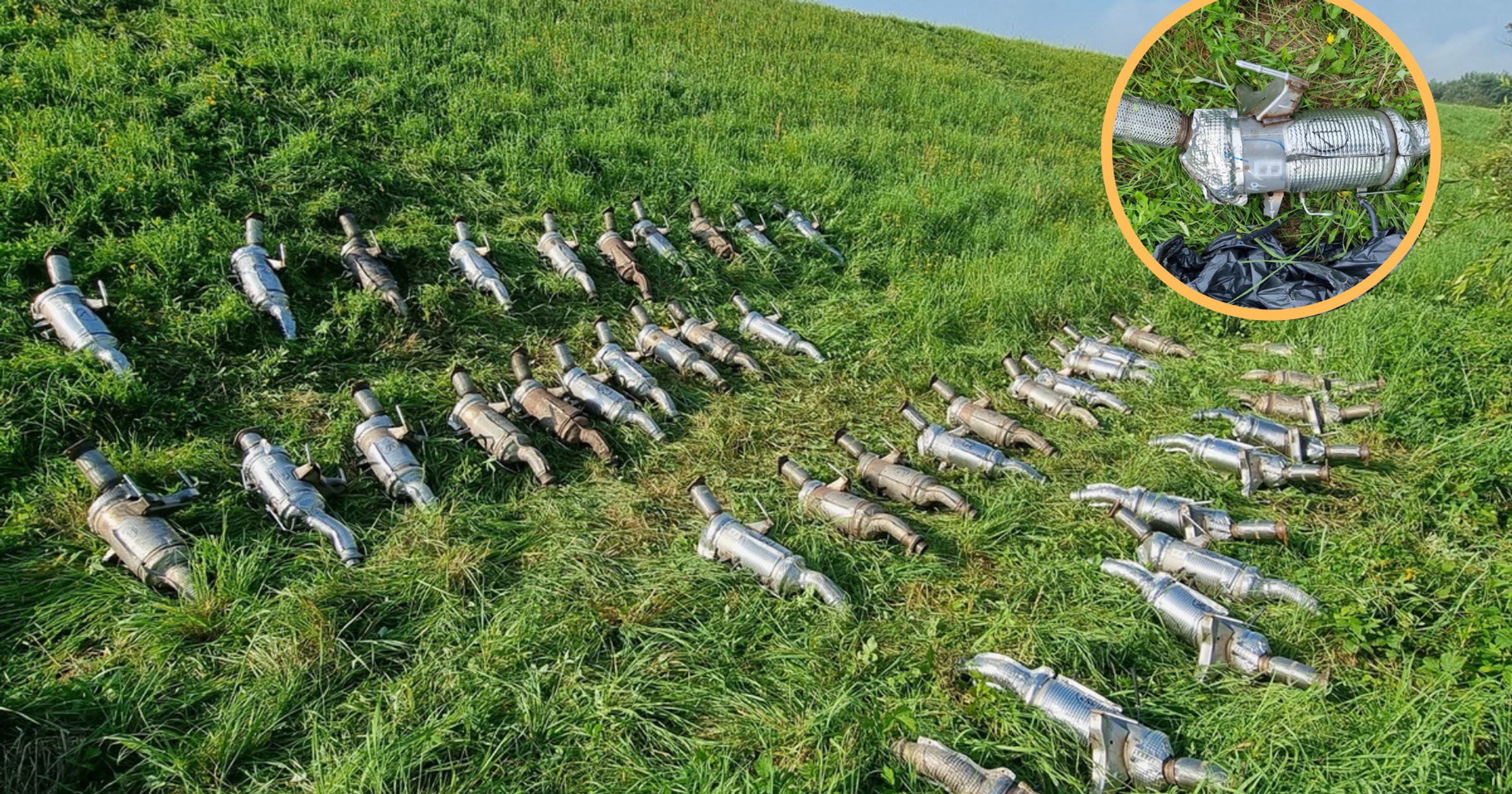"Uprawiali" na polu katalizatory warte tysiące. Policja szuka "farmerów"