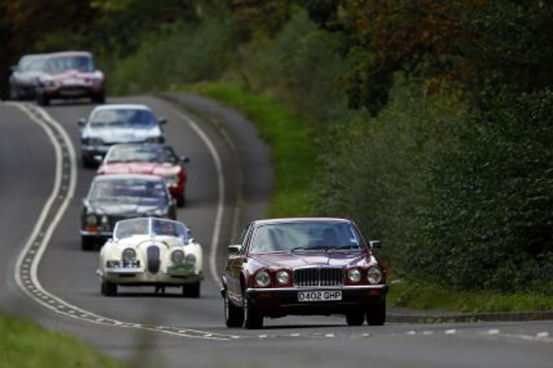 Wielka parada Jaguarów w Goodwood (galeria)