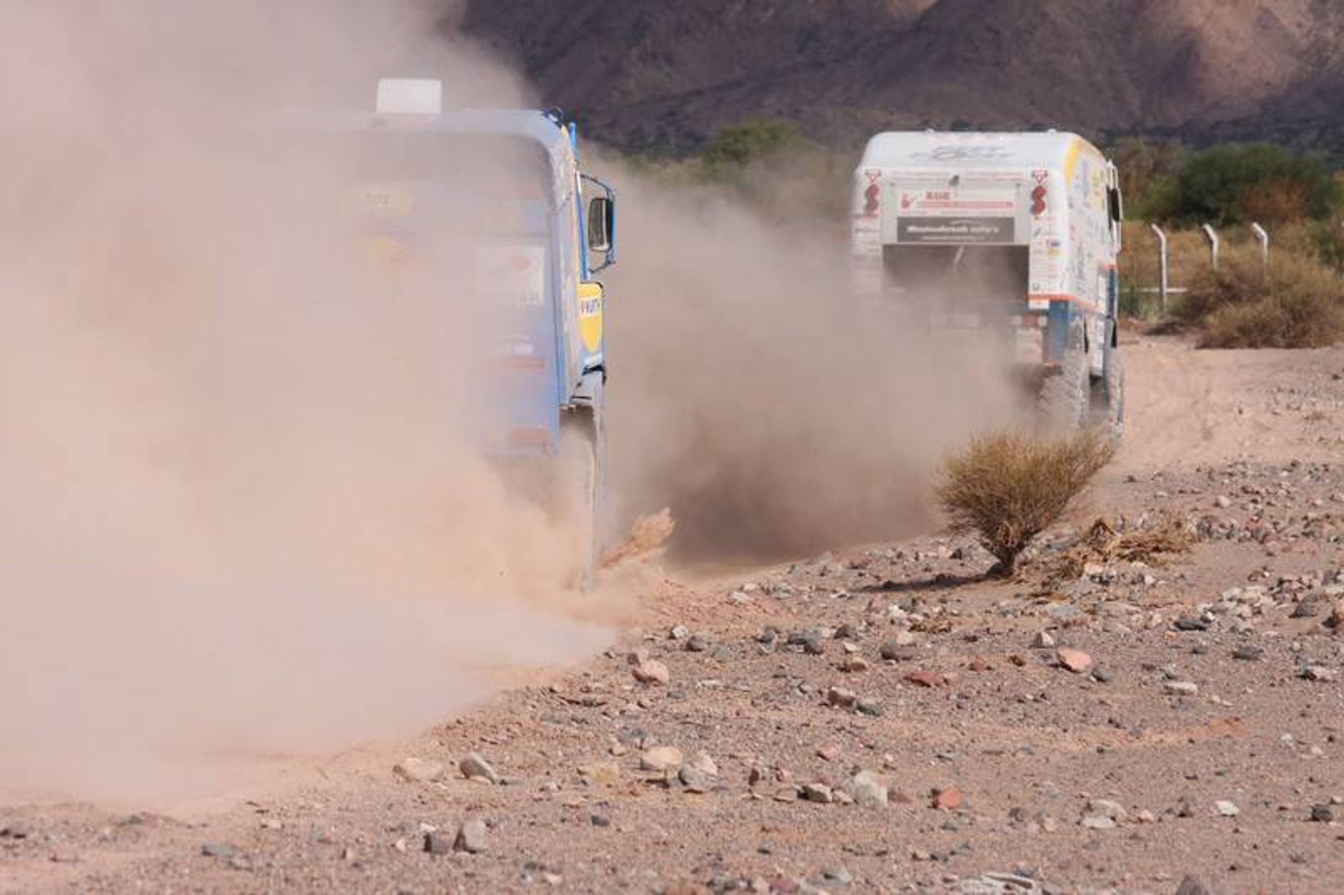 Rajd Dakar 2009: radość na mecie (fotogaleria 3.)