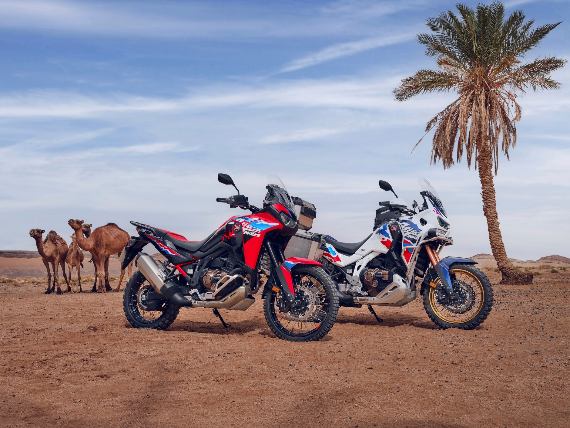 Honda 24YM CRF1100L AFRICA TWIN ADVENTURE SPORTS