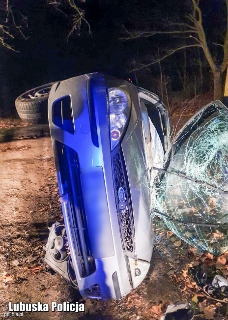 Szaleńczy pościg za kierowcą Forda zakończył się na drzewie