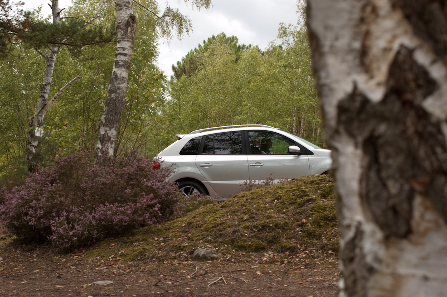 Renault Koleos po operacji plastycznej