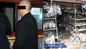 Wyglądali niepozornie. Policjanci codziennie patrzyli na ich zdjęcia. Co wiemy o gangu braci W.?