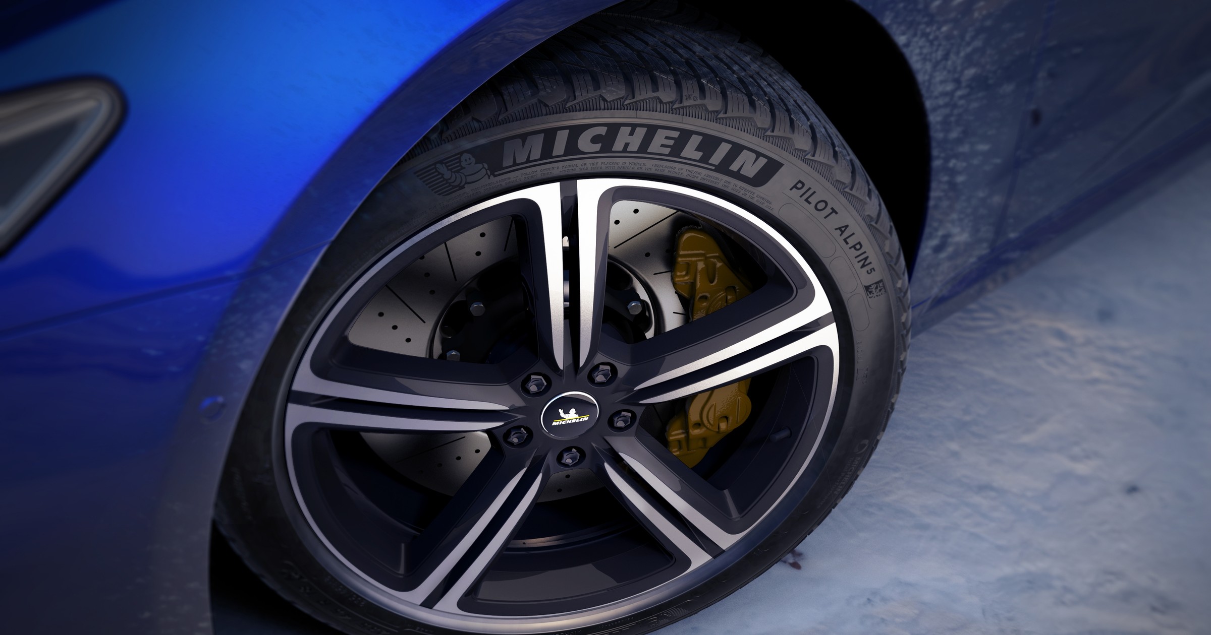 Michelin Pilot Alpin 5