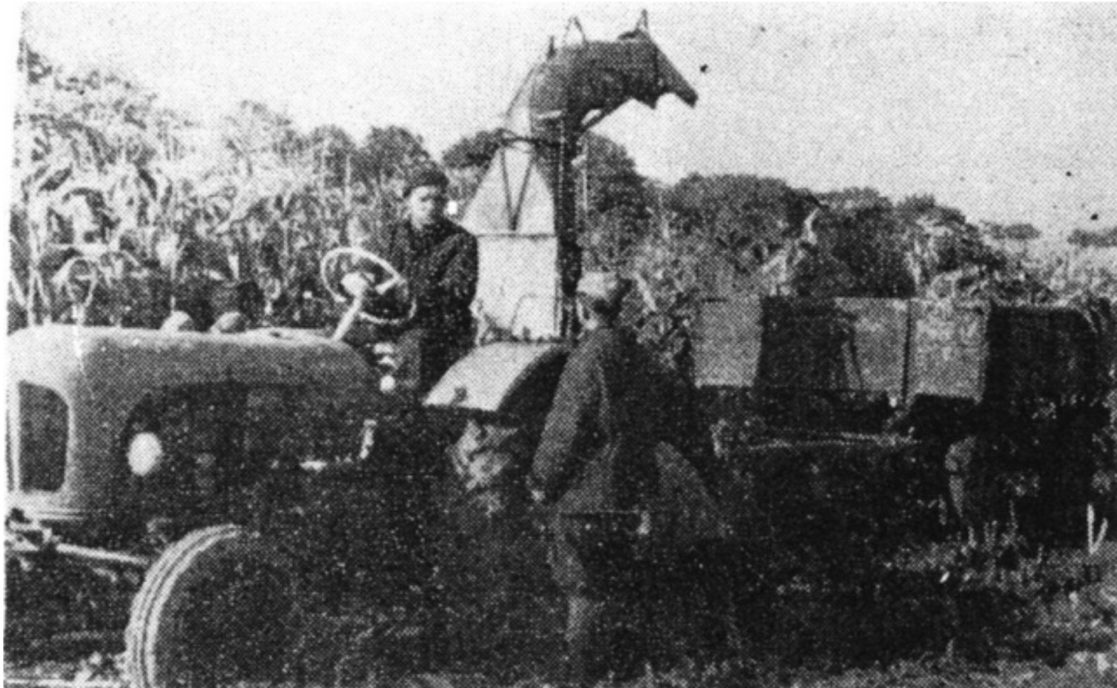 Na archiwalnych zdjęciach widać, że prototypowy Ursus C-336 miał maskę podobną do tej, jaka występowała w modelu C-325.