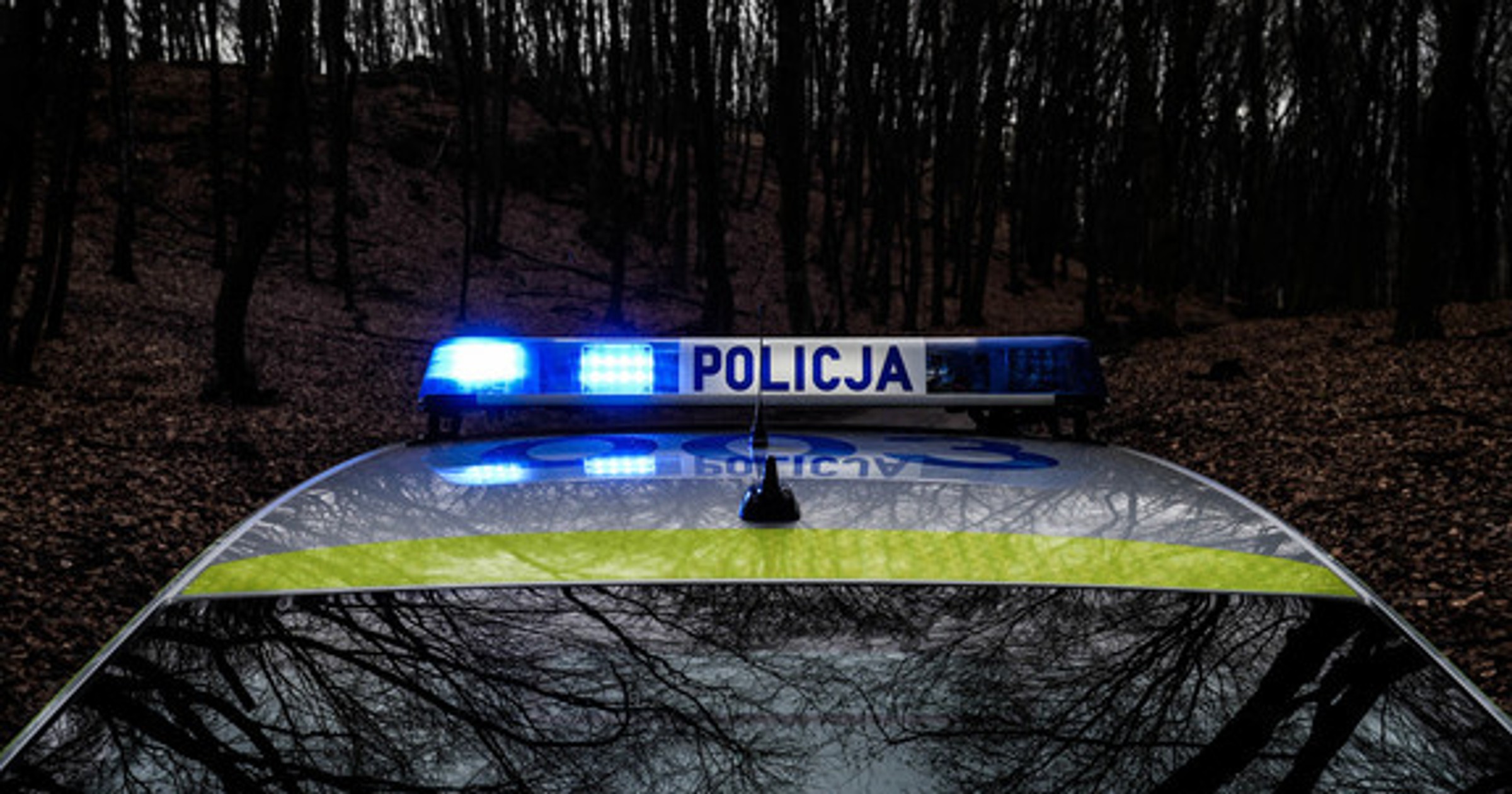 Źródło: bochnia.policja.gov.pl/policja.pl