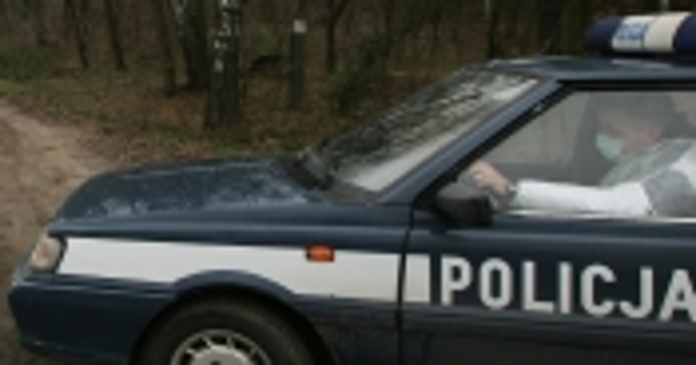 Żegnaj niebieski Polonezie