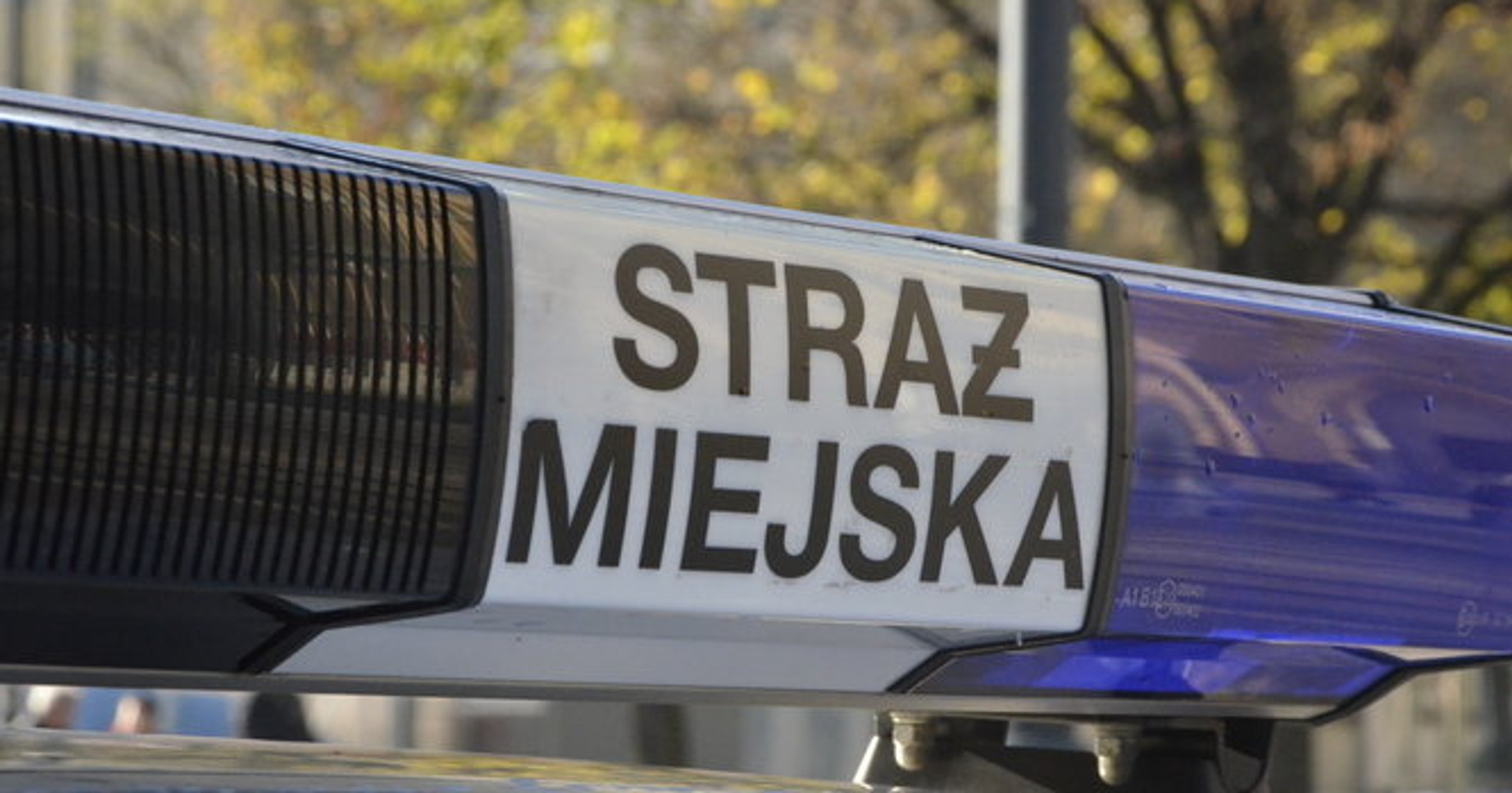 straż miejska
