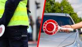 Gdzie mandaty bolą bardziej: w Polsce czy w Niemczech? 