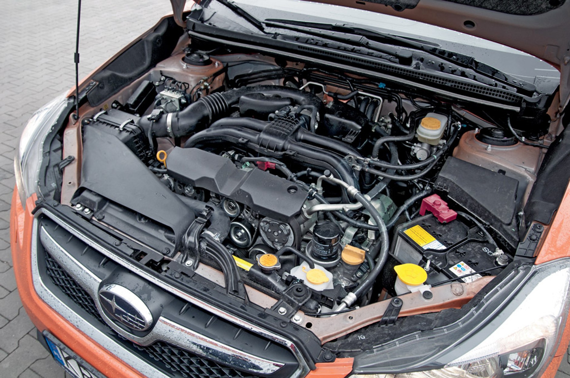 Subaru XV: modny i wygodny