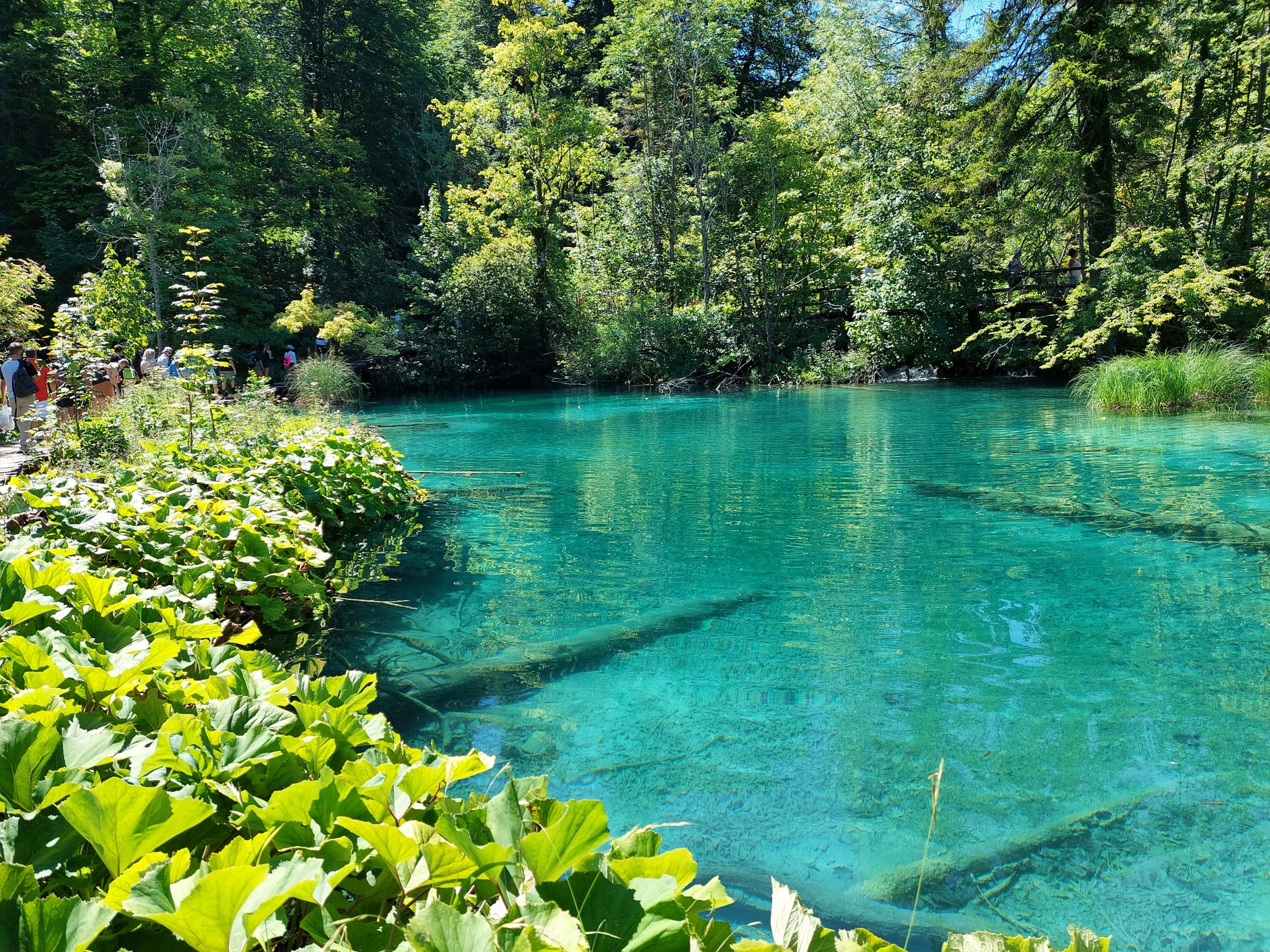 Volkswagen Grand California – kamperem do Chorwacji