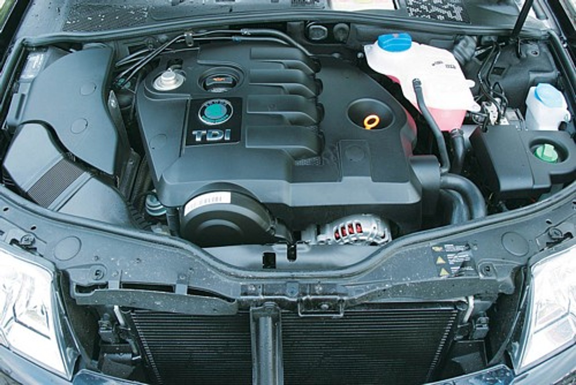 Nie tylko na dalekie podróże