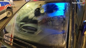 Jechała z zamarzniętą szybą. Potrąciła rodzinę na pasach [Nagranie]
