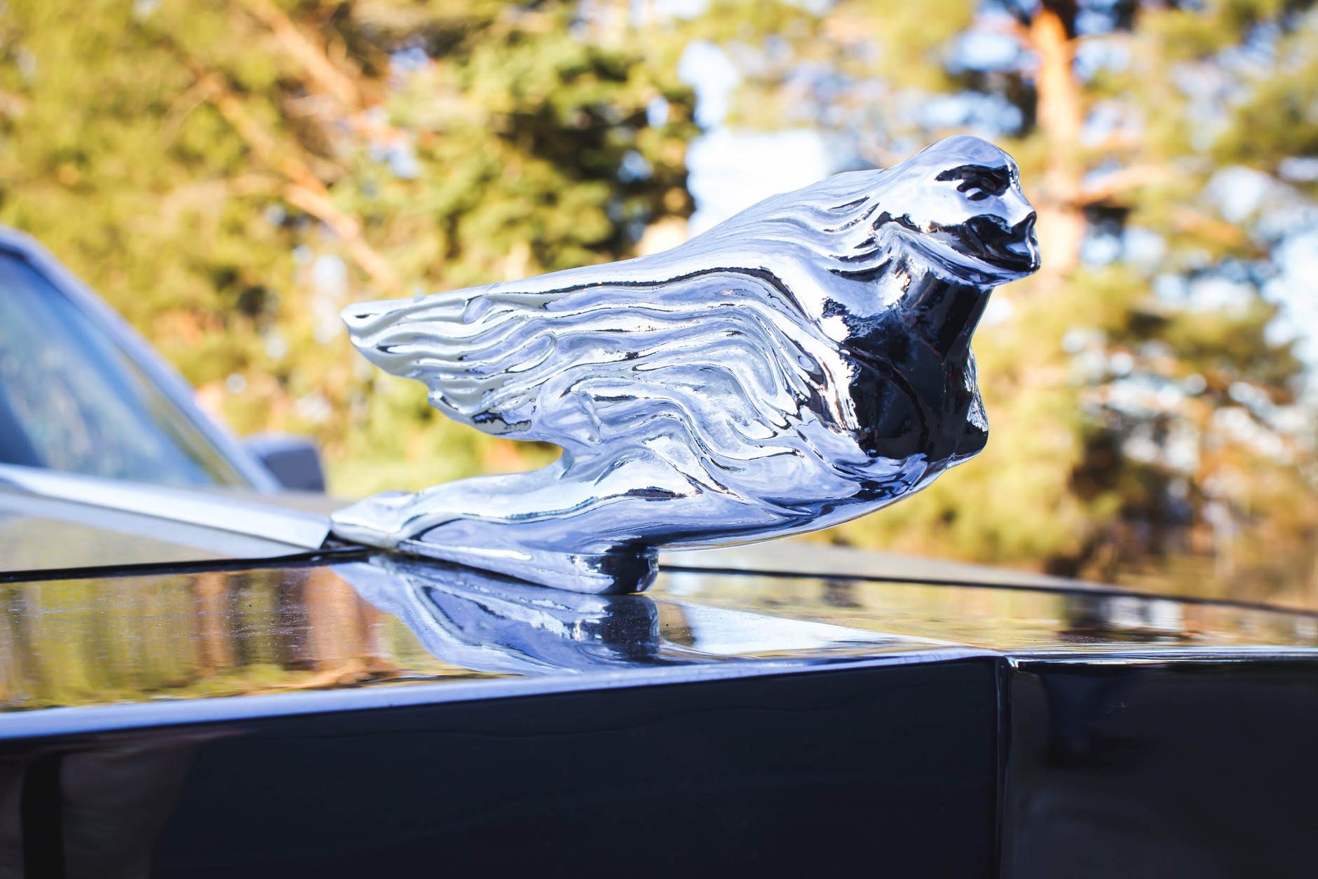 Cadillac Fleetwood Brougham, rocznik 1975 r., Elvisa Presleya