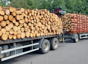 Wiózł drewno i znakował trasę przejazdu. Patrol ITD wykazał się czujnością
