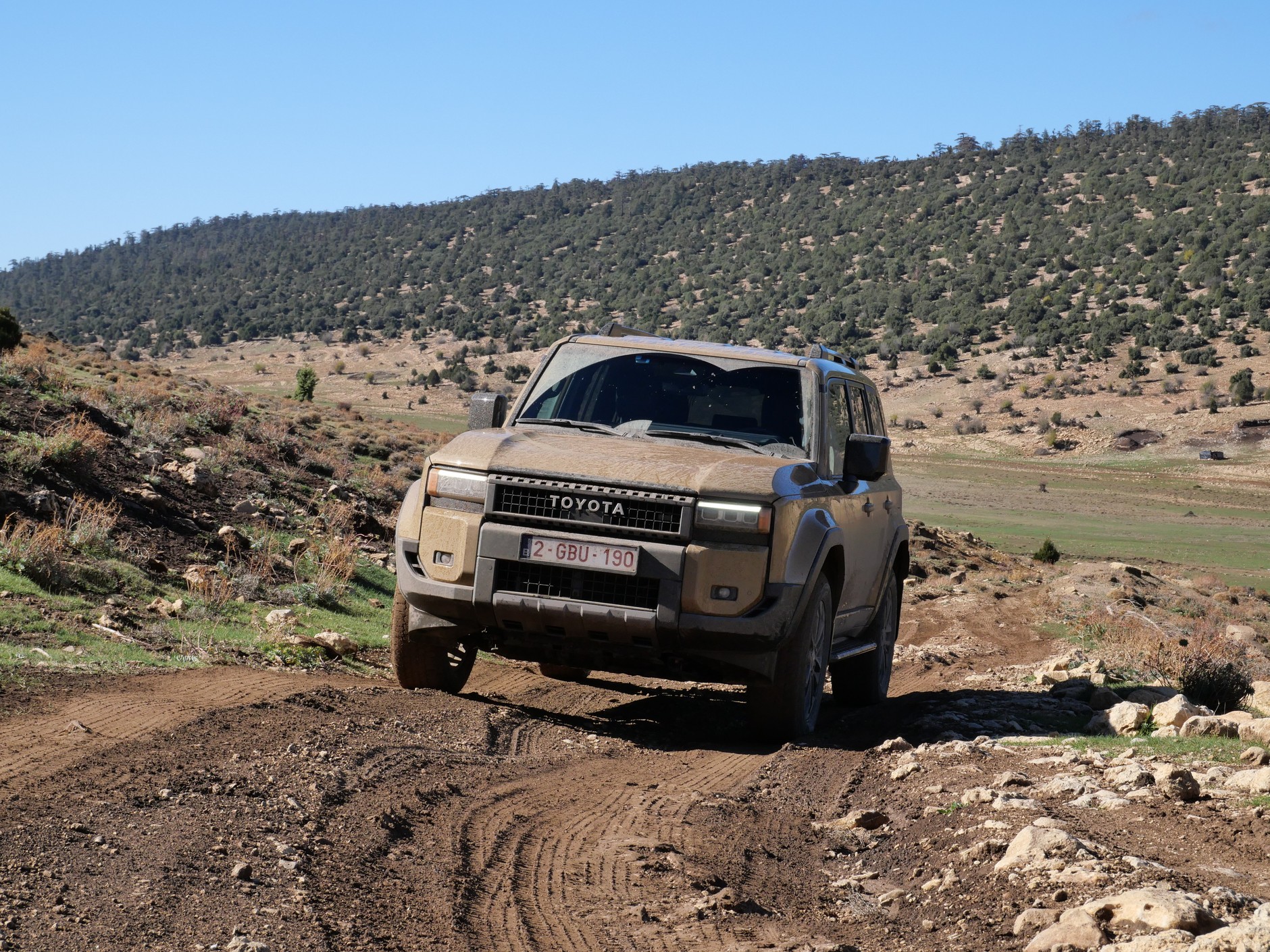 Toyota Land Cruiser 250