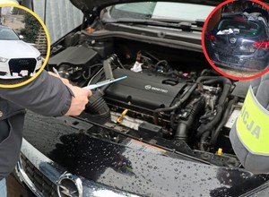 Policjanci pokazali wnętrze "dziupli". A w niej auta za setki tysięcy