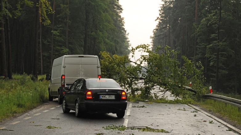 Kto zapłaci za szkody po wichurach?