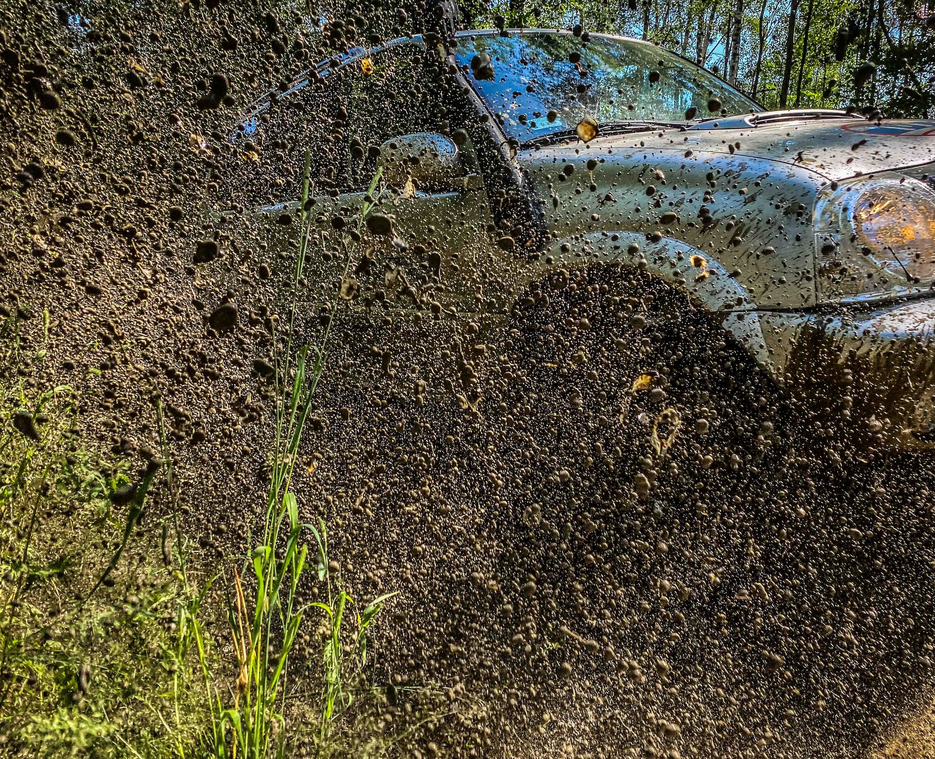 Suzuki w terenie podczas rajdu