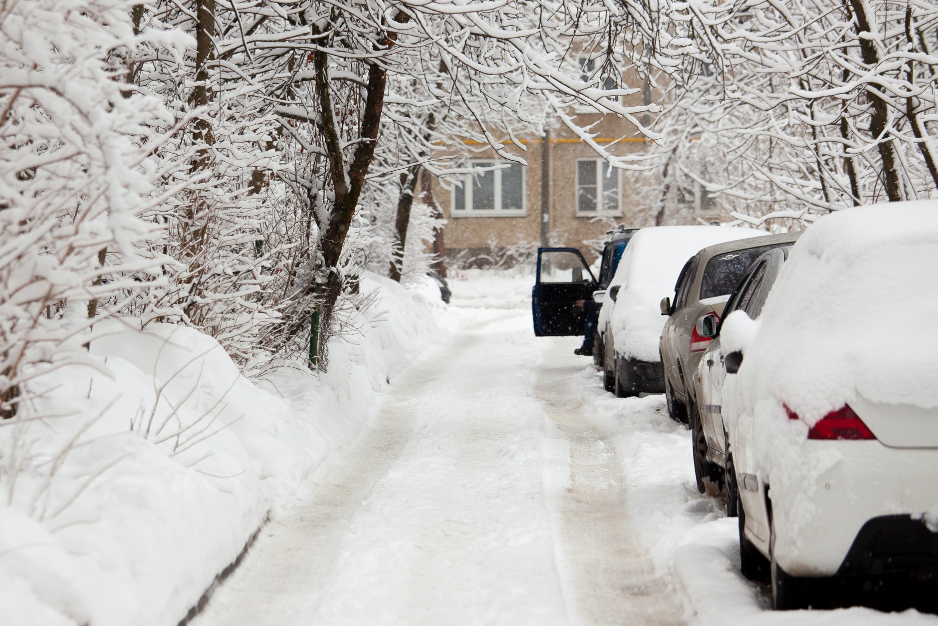 Samochody zaparkowane wzdłuż wąskiej ulicy