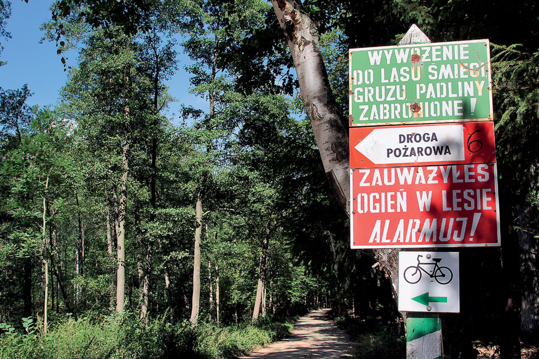 Szutry pośród jezior: zwiedzamy pojezierze brodnickie z Chevroletem Captivą