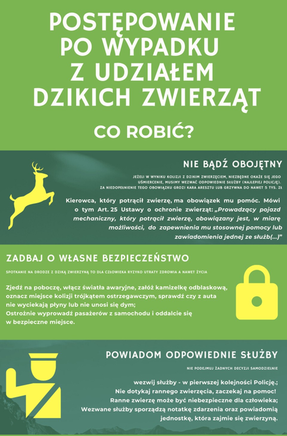 Co zrobić po wypadku z udziałem dzikiego zwierzęcia?
