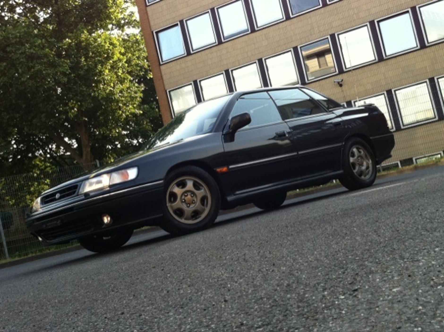 Pięć wilków w owczej skórze