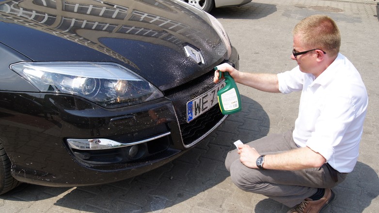 czyszczenie auta z owadow