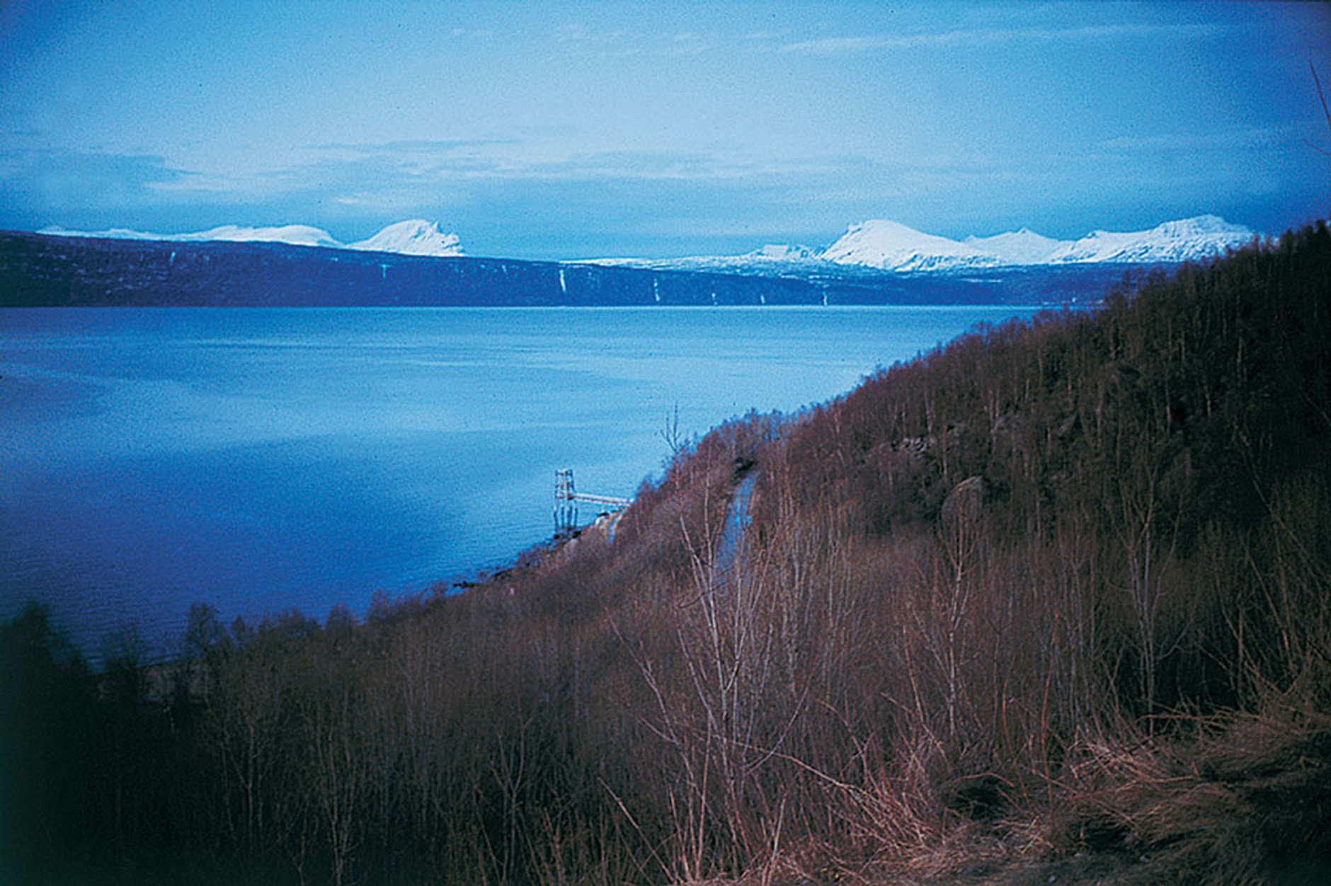 Przepisy drogowe w Szwecji