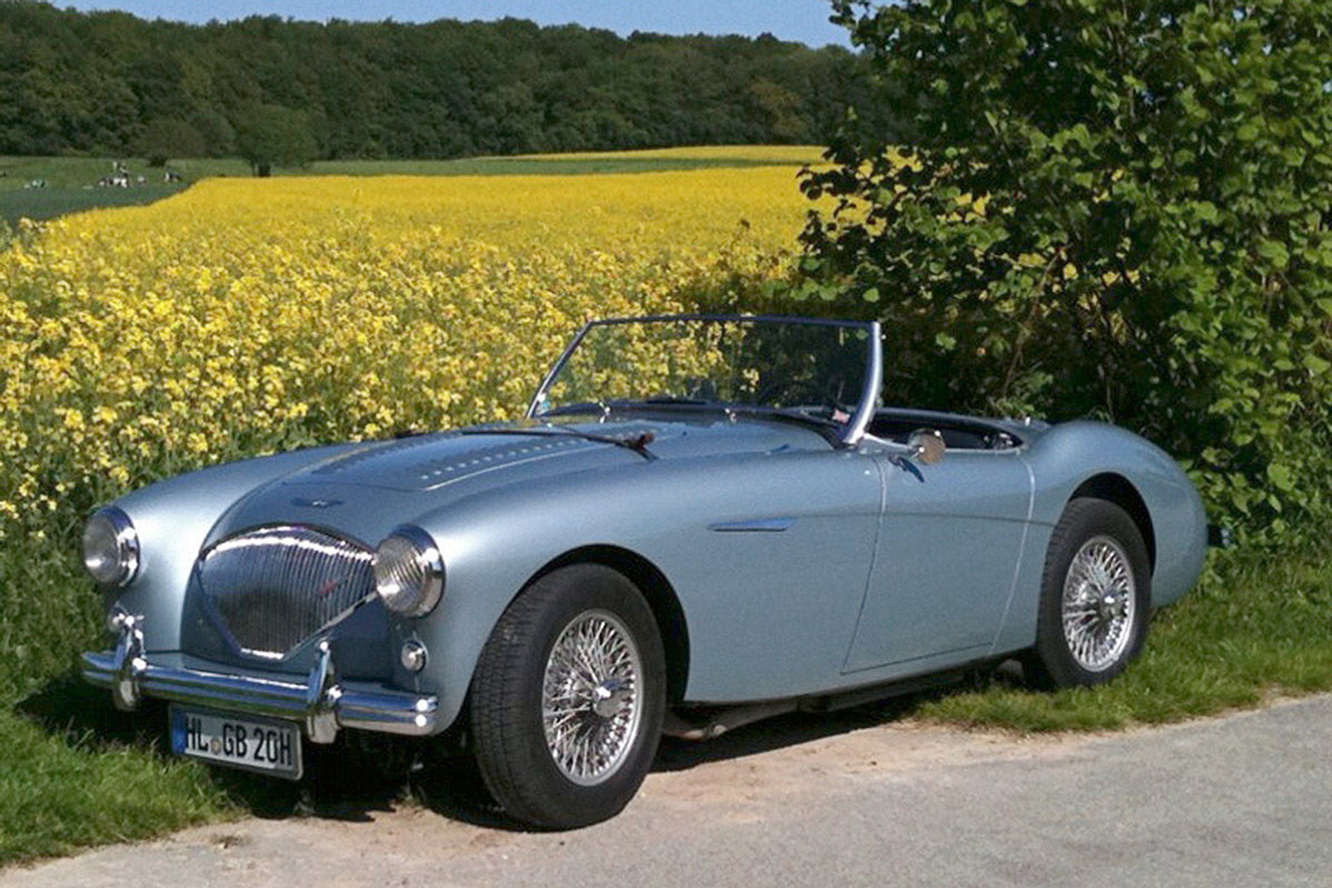 46 – Austin-Healey 100 (1953-59)
