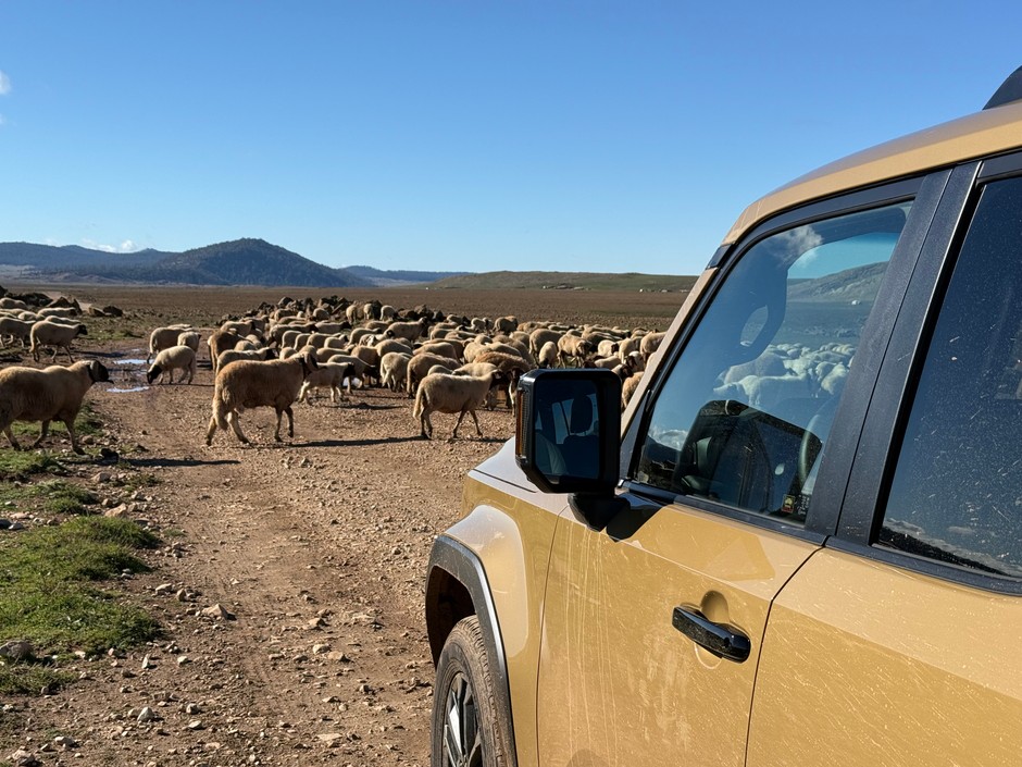 Toyota Land Cruiser 250