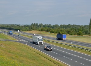 Wyścigi słoni to dalej duży problem na drogach. Nie mogą, a i tak to robią