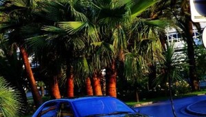 Lancia Lybra 2.4 JTD LX - Długodystansowa Lancia