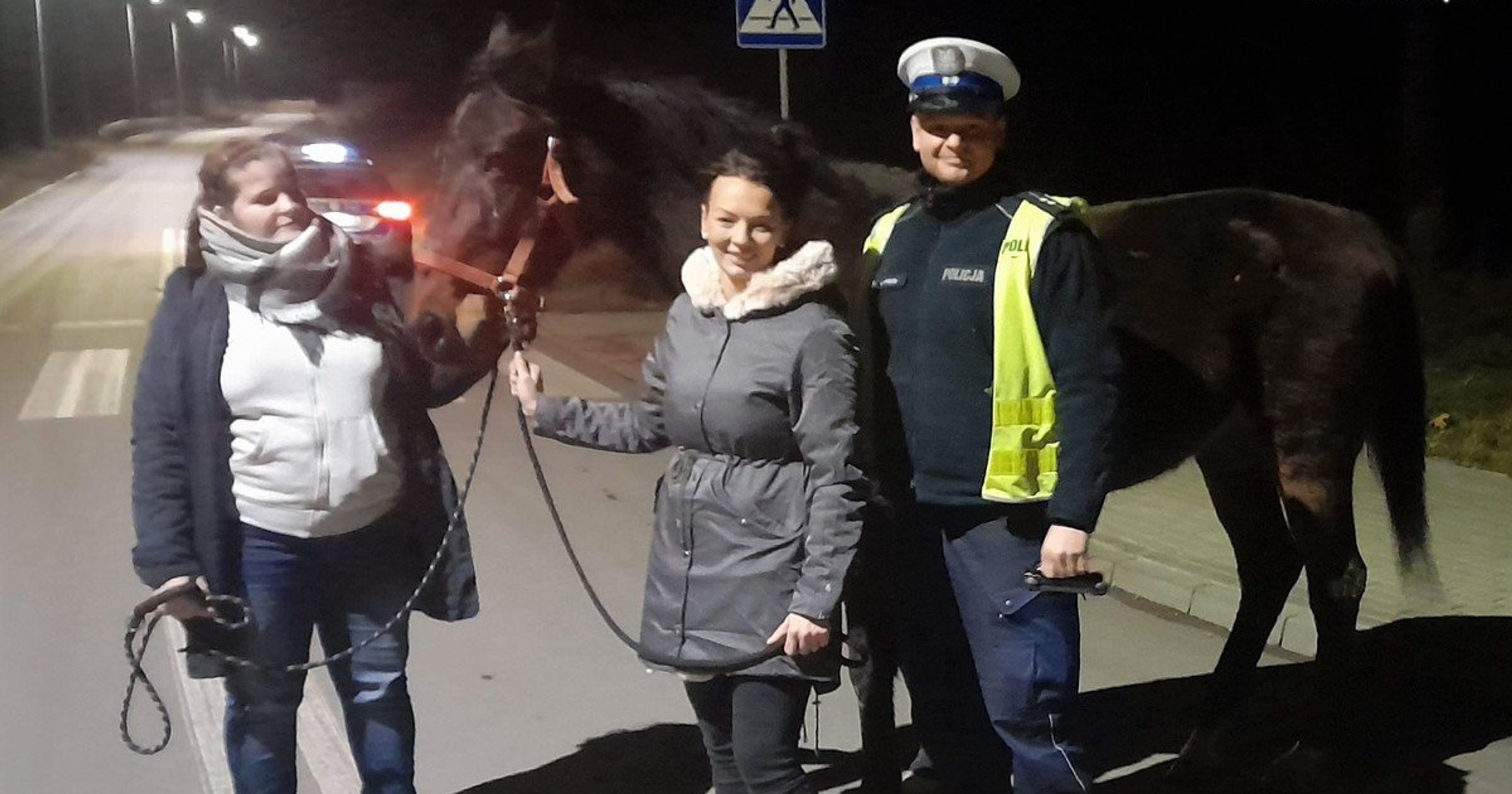Policjantom udało się złapać konia