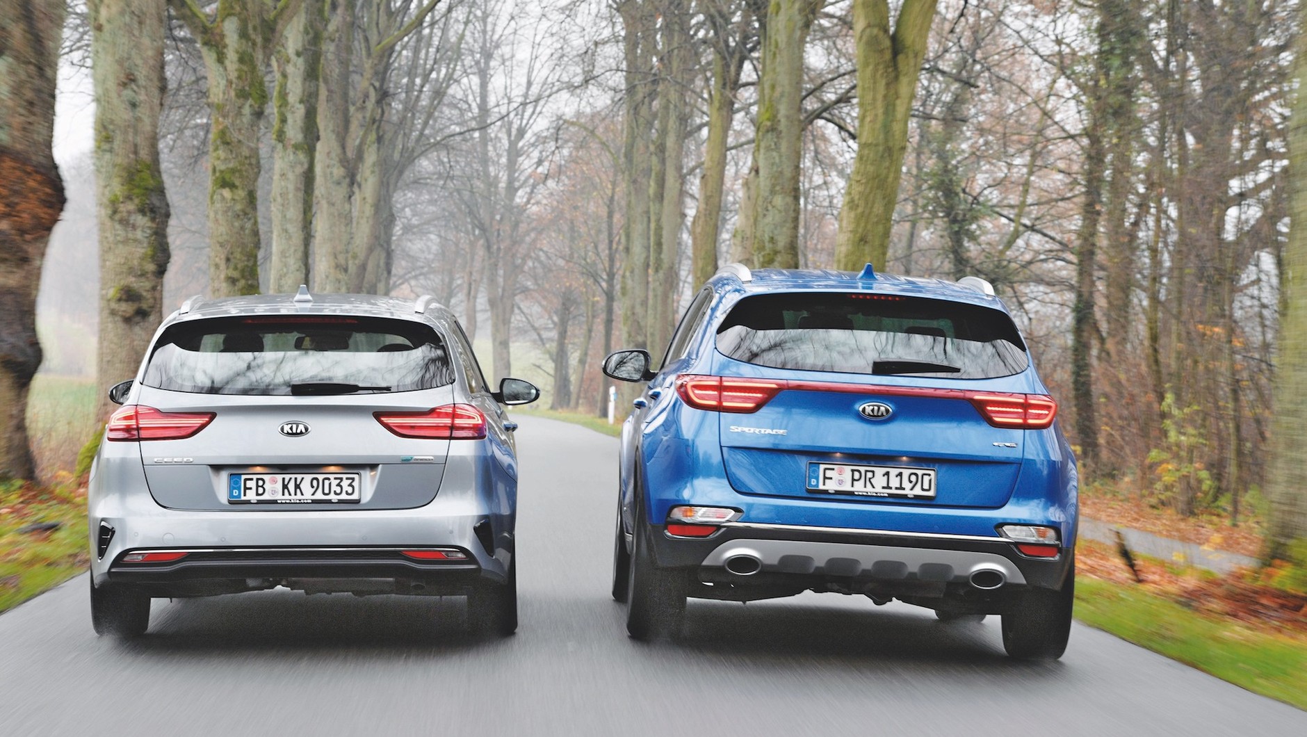 Kia Ceed SW kontra Kia Sportage