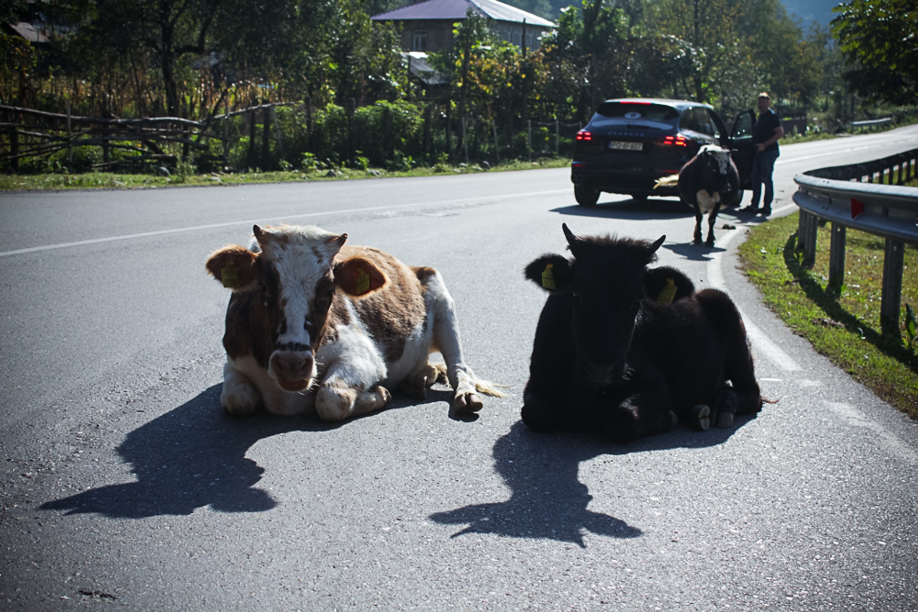 Porsche Cayenne. Luksusowy król bezdroży
