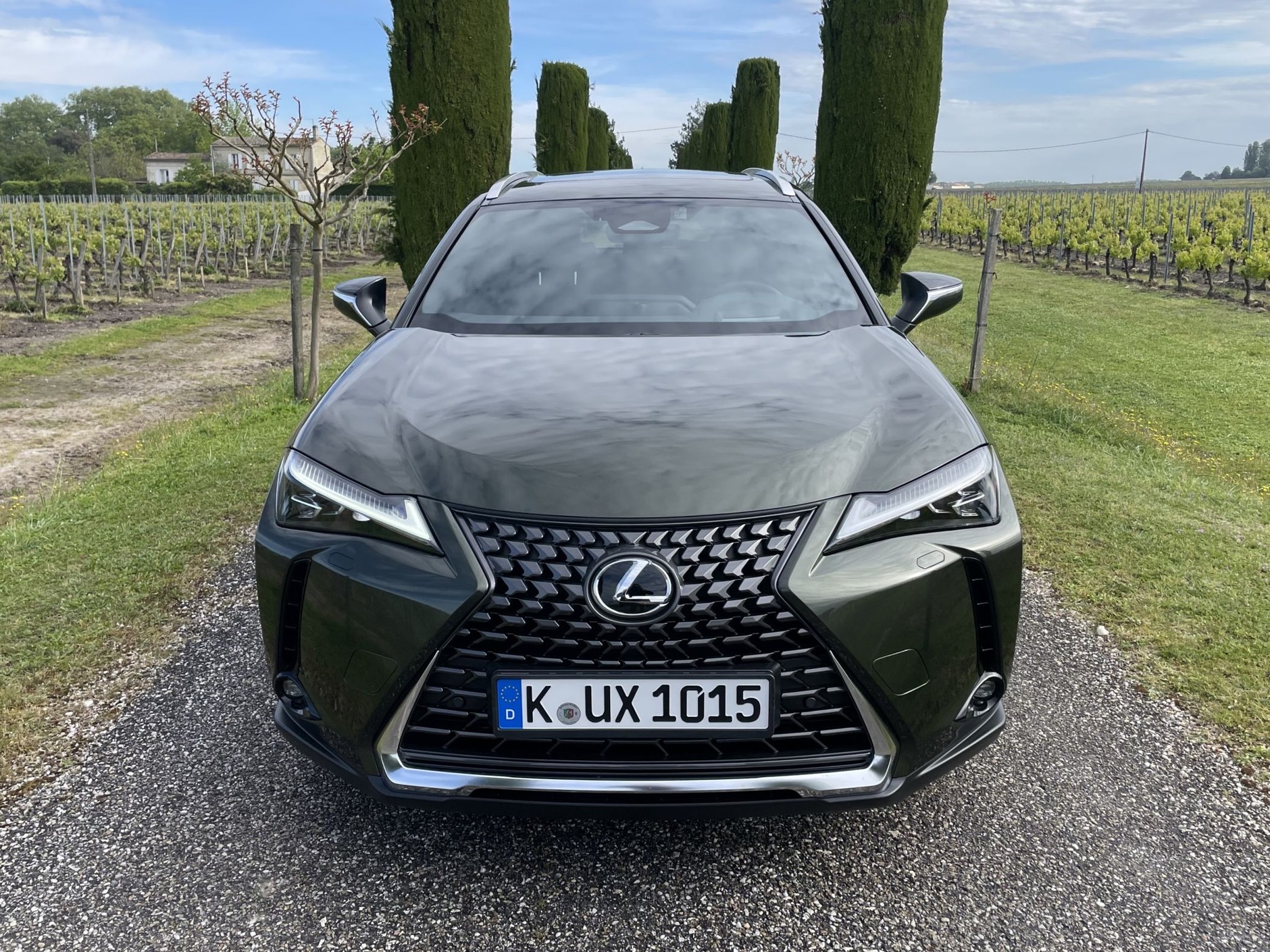 Lexus UX 300h