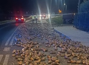 Całą jezdnię zablokował nietypowy ładunek. Wysypał się z naczepy ciężarówki