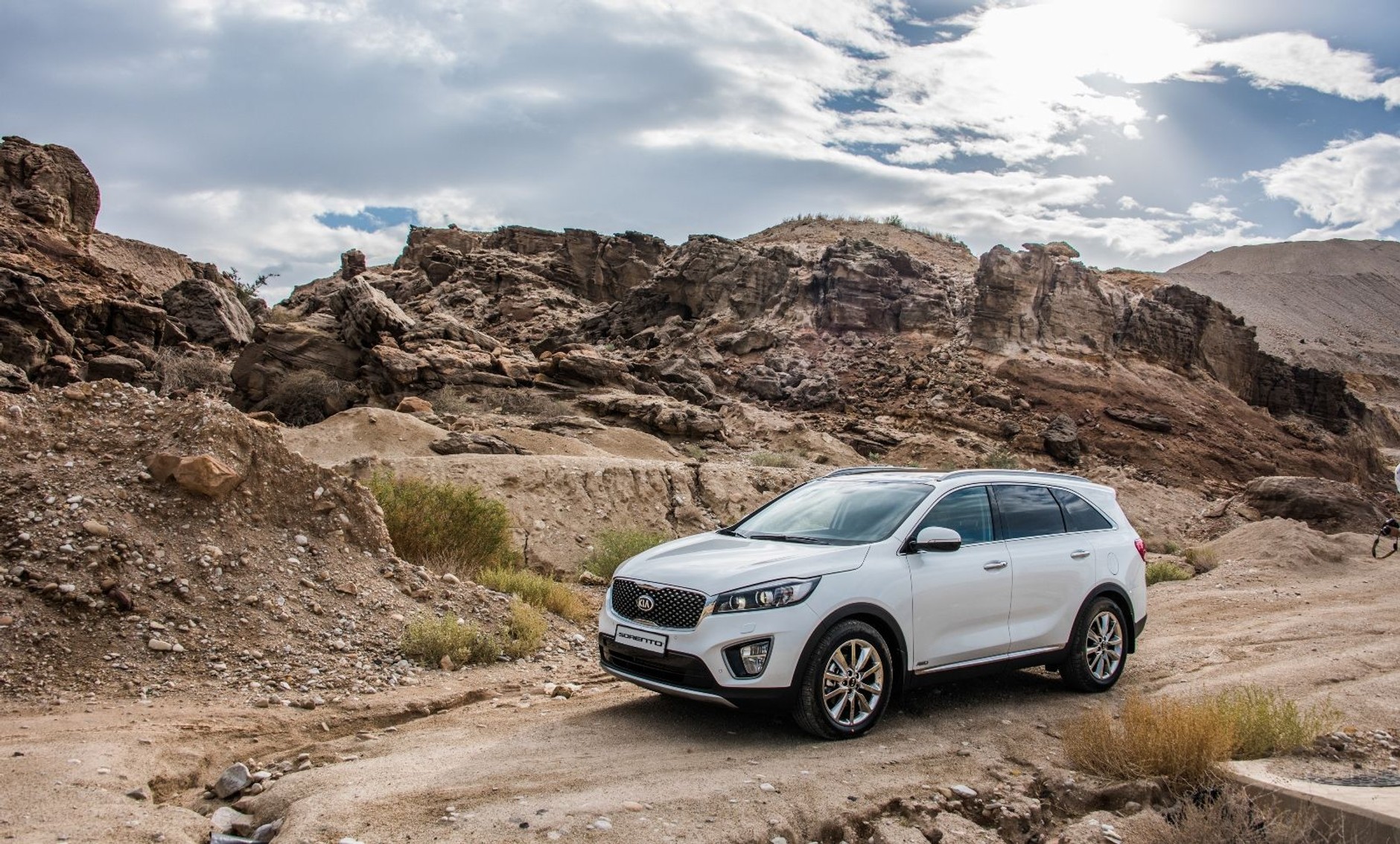 Nowa Kia Sorento za 144,9 tys. zł