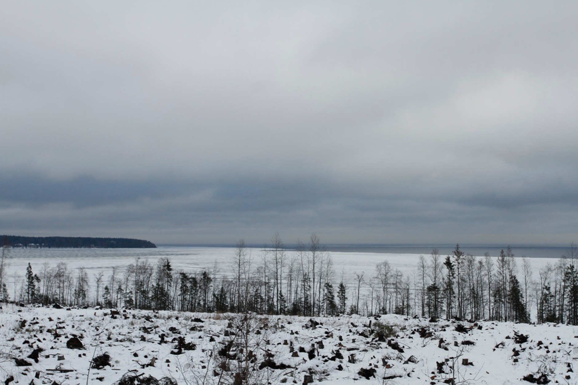 Baja Russia | Cross Country na kolcach