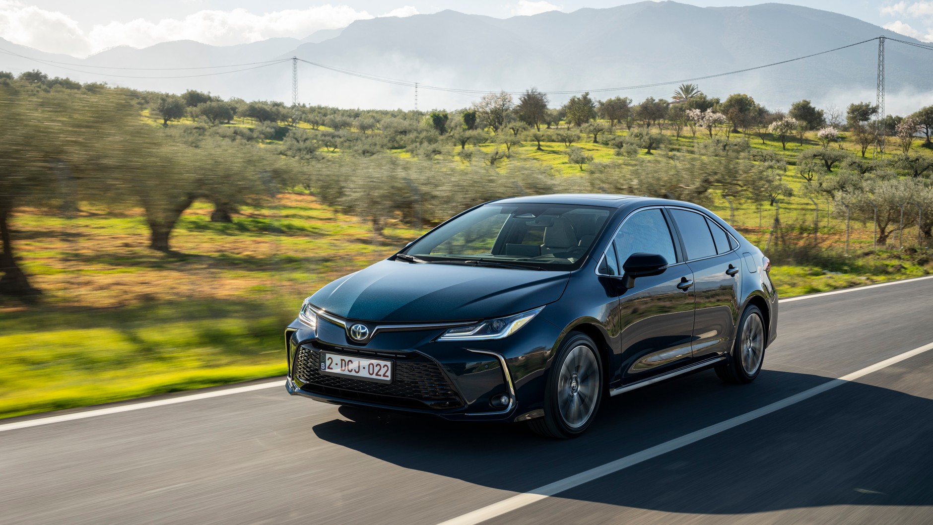 Toyota Corolla Sedan