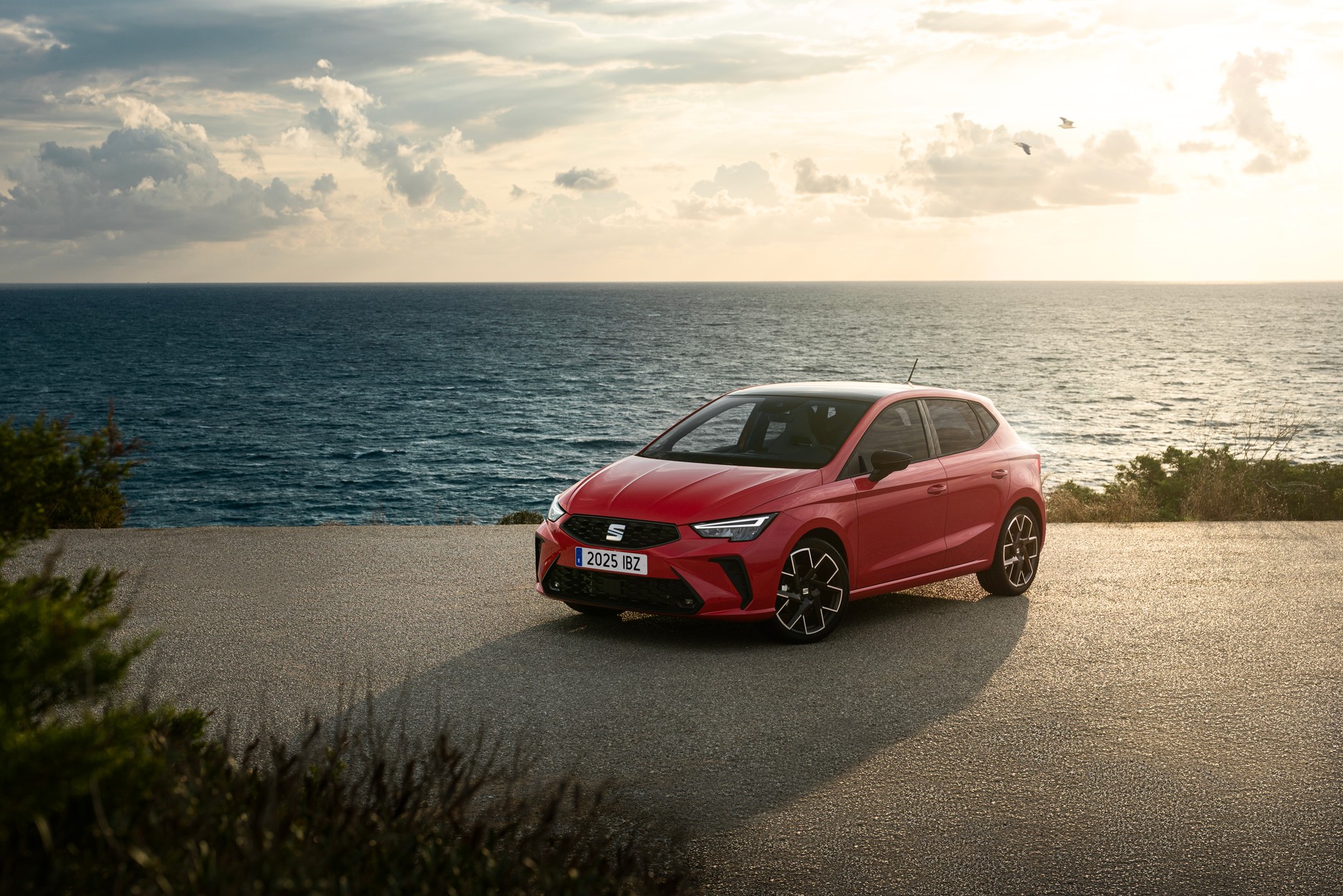 Nowy Seat Ibiza