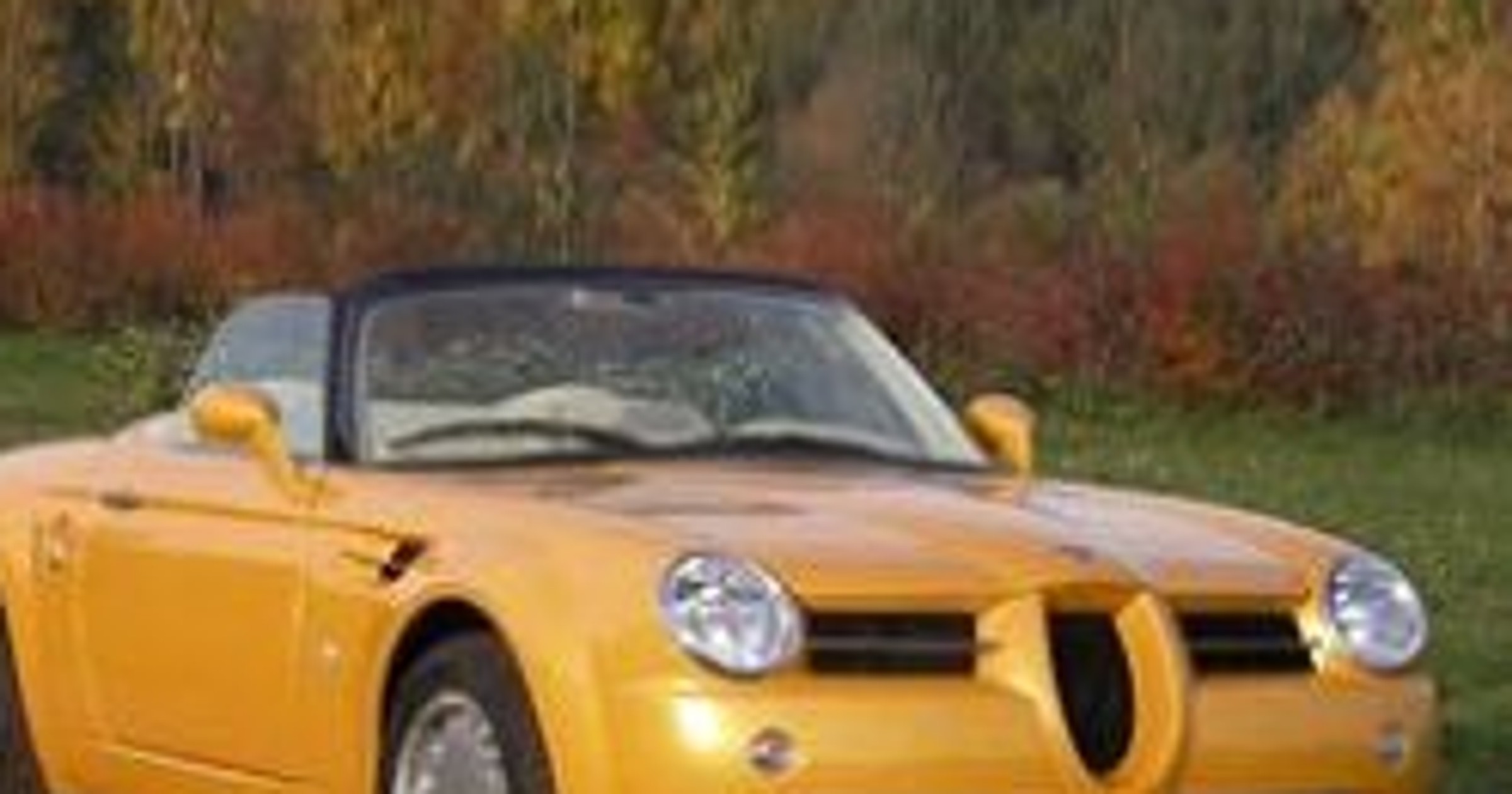 Cardi Body II: dwumiejscowy roadster z organami BMW