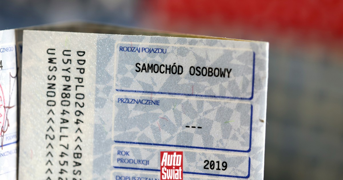 Kody w dowodzie rejestracyjnym nie są przypadkowe. Oto, jakie mają znaczenie