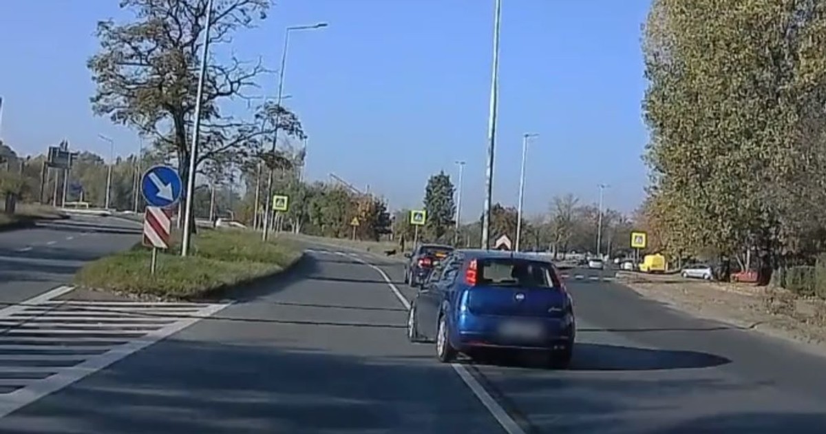 Niebezpieczna sytuacja drogowa; Katowice; ul. Mikołowska; maj 2023 r. (zrzut ekranowy)